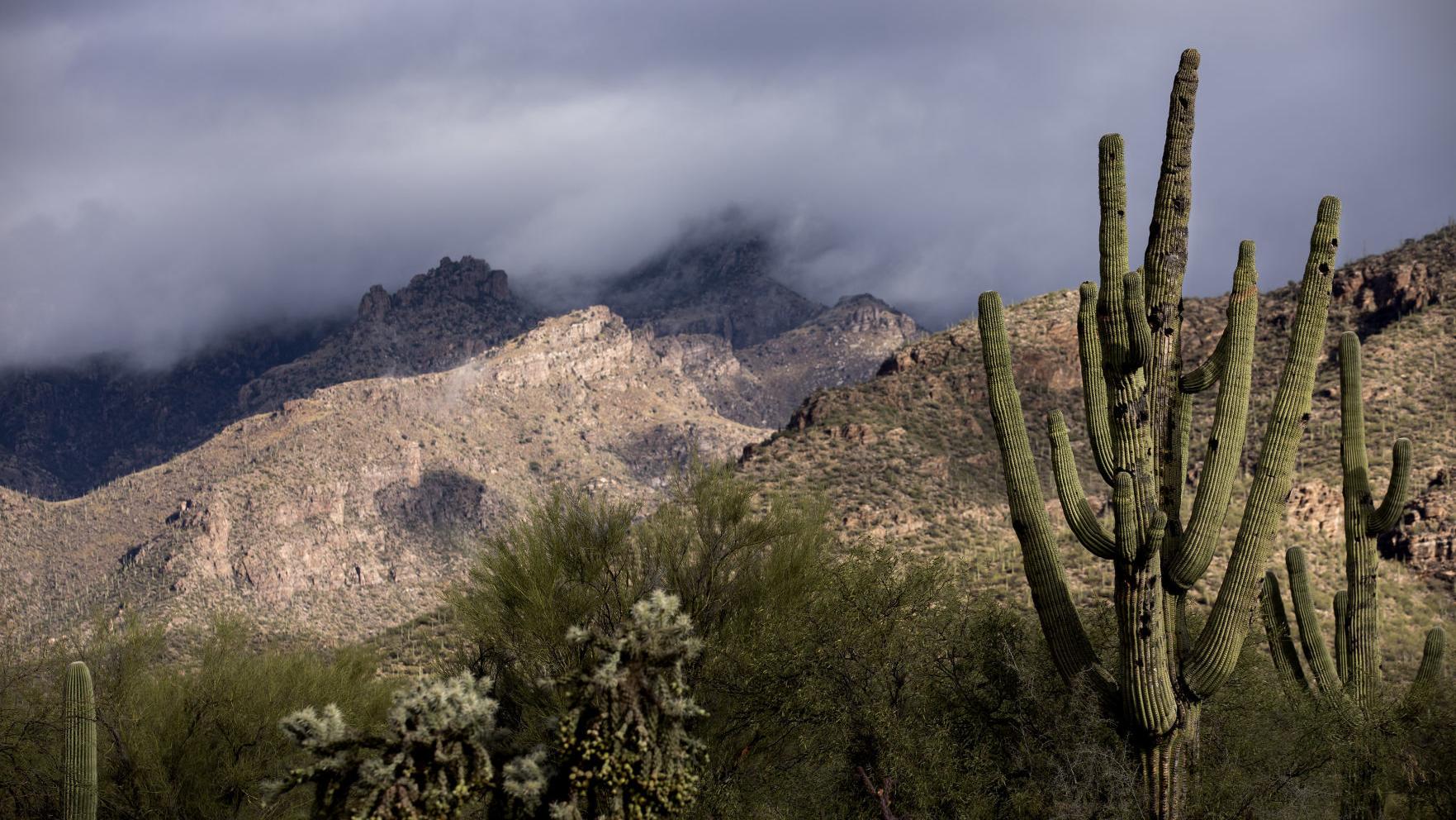 Freezing temps, mountain snow expected in Tucson area